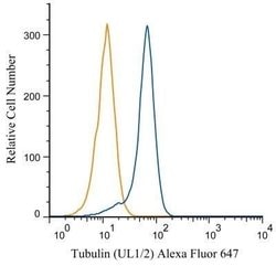 alpha Tubulin Antibody (YL1/2) - Azide and BSA Free, Novus Biologicals